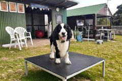 20220202_093434-scaled